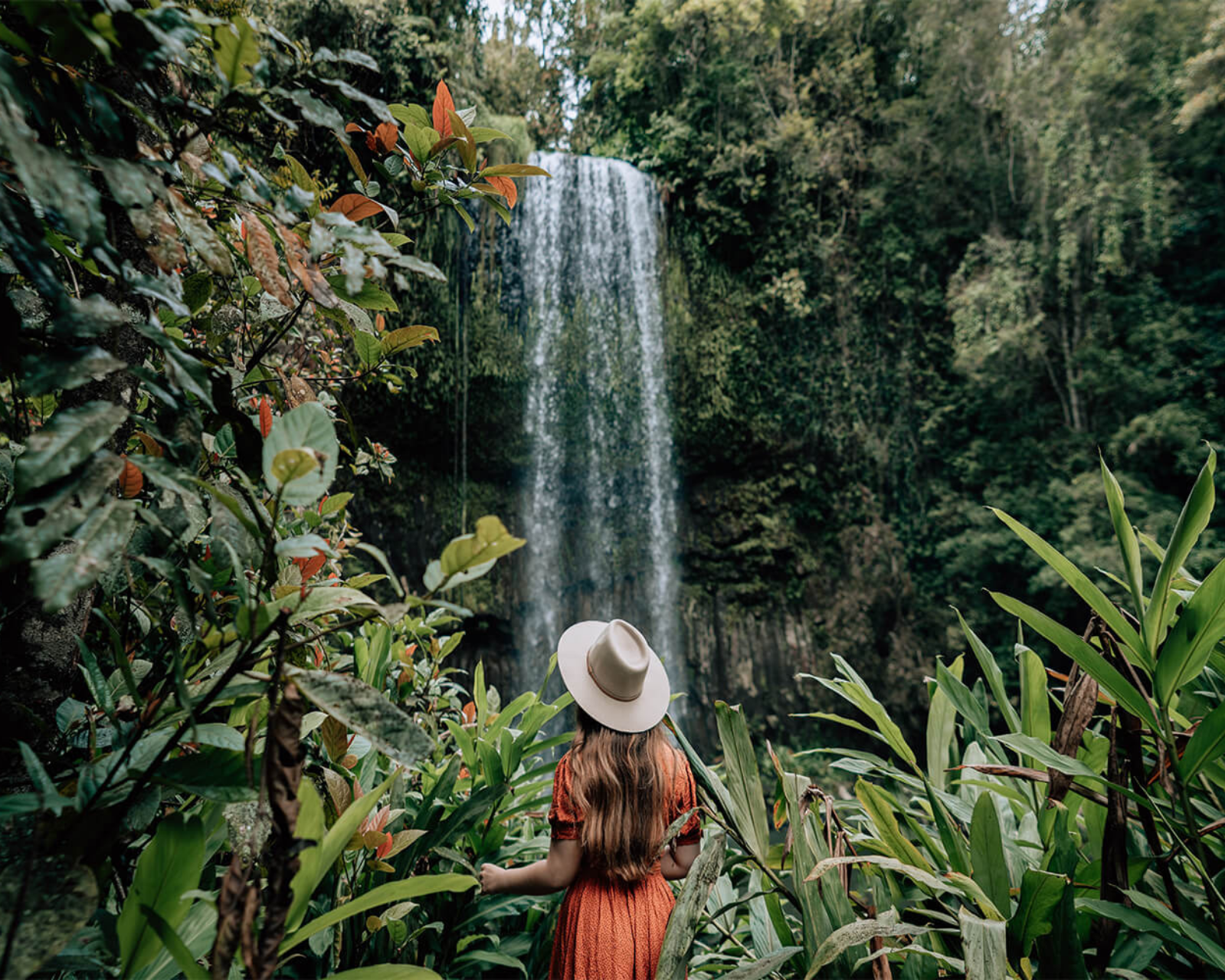 millaa millaa falls